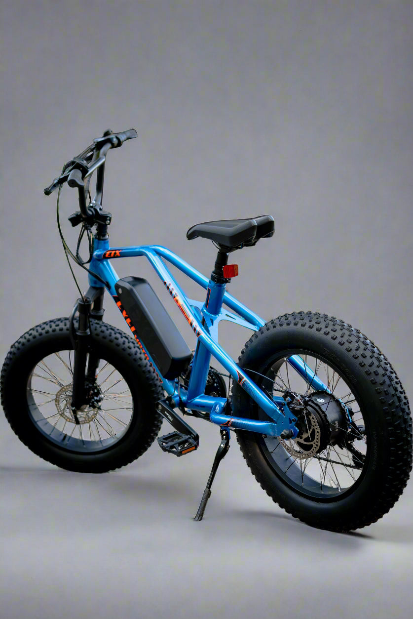 Road capture of Exelmoto bike in action