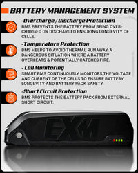 Real user photo of Exelmoto e-bike