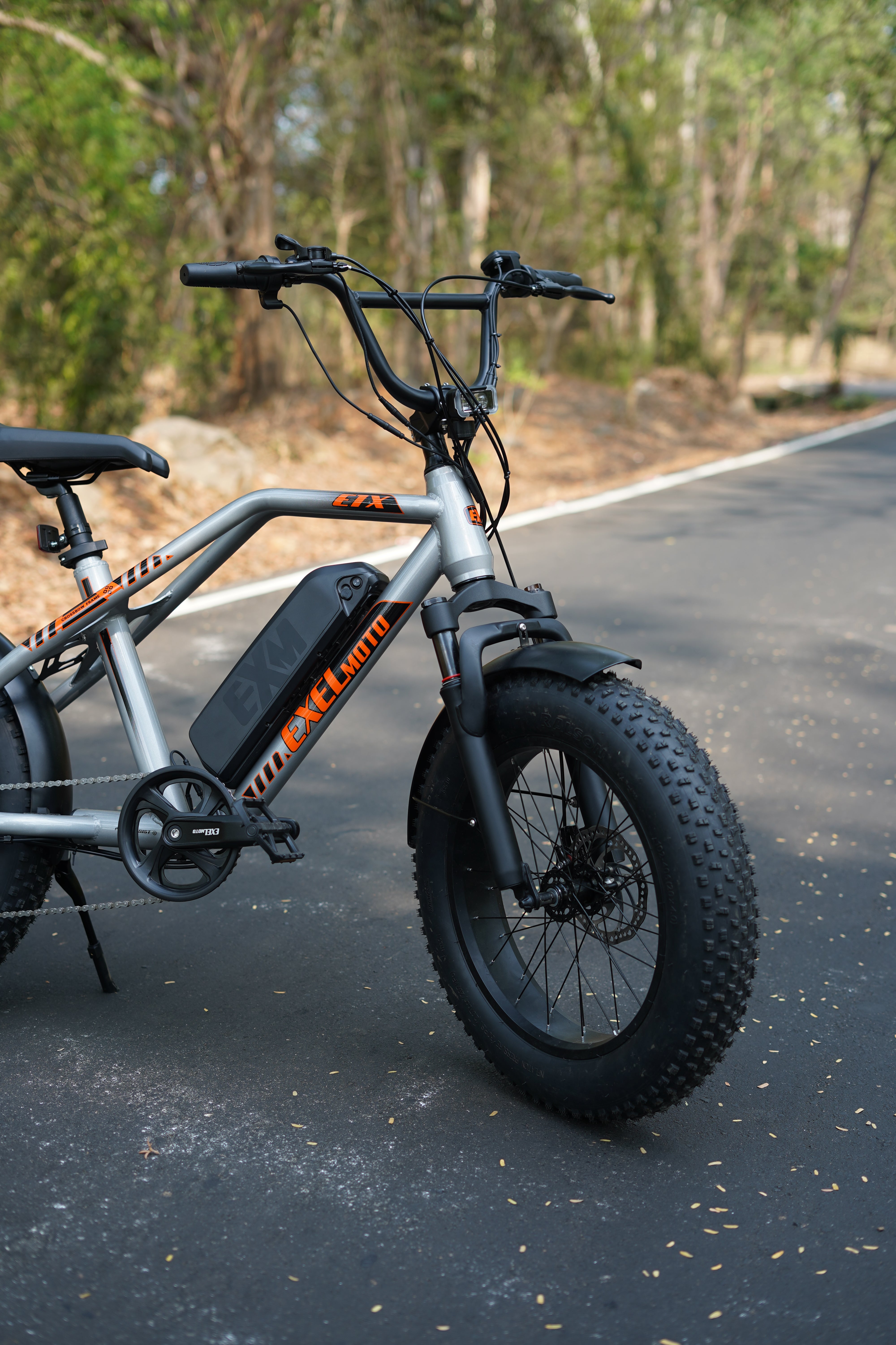 EXELMoto E1X Ice Stylish & Powerful Electric Cycle EXELMoto E1X Ice Stylish & Powerful Electric Cycle